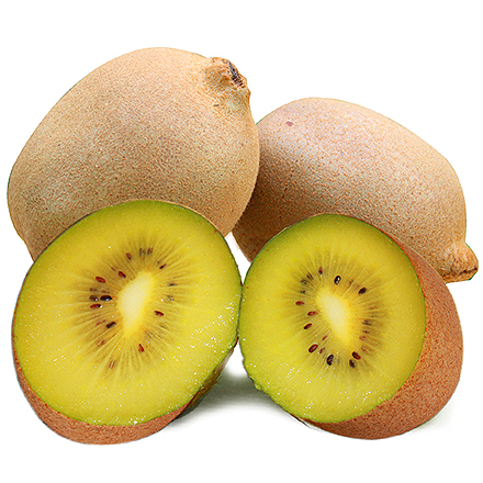 开云网页版产品中心四