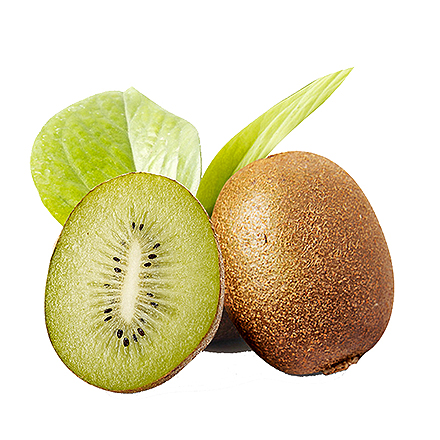 开云网页版产品中心六